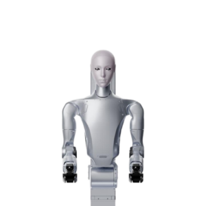 Robot Humanoide Unitree H2-D Standard A