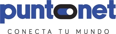 Puntonet
