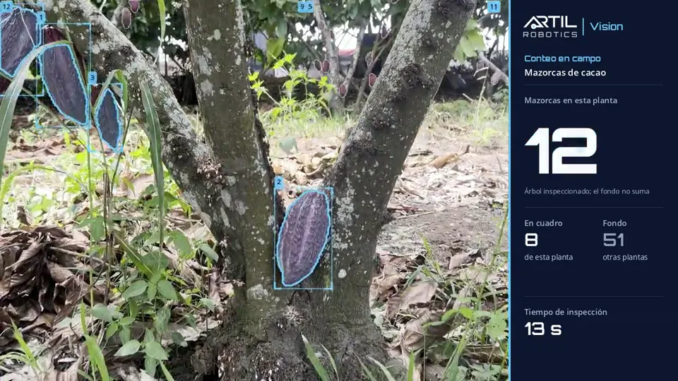 Tronco de una planta de cacao con cada mazorca marcada; el panel lateral muestra 12 mazorcas en esta planta.