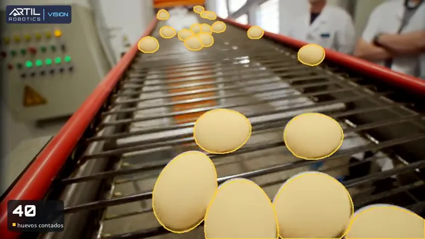 Huevos en una clasificadora, cada uno marcado por el modelo.